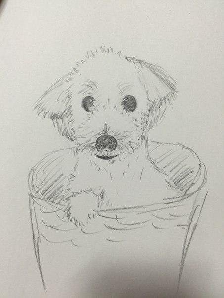 jungkook3 ジョングクが描くジンの犬